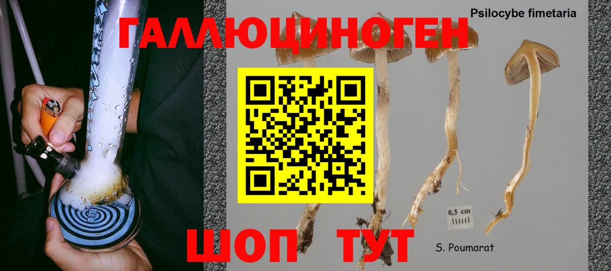 Псилоцибиновые грибы MAGIC MUSHROOMS  Псилоцибиновые грибы мухоморы  Борисоглебск  Вход с VPN 